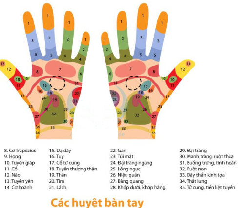 Bấm huyệt chữa mẩn ngứa mề đay